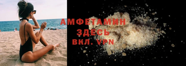 индика Кукмор