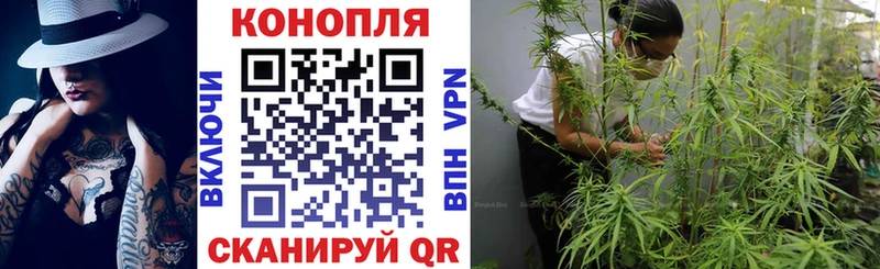 Каннабис OG Kush  мега ТОР  Шацк 